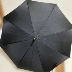 訳あり】前原光榮商店 レディース雨傘 ラルフ ジャガードトンボ洋傘