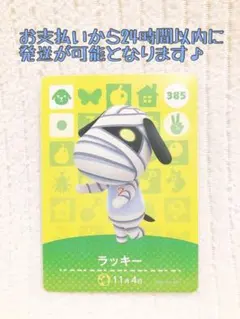 しろくま様 リクエスト 2点 まとめ商品