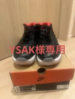 Nike Air Jordan 11 Low