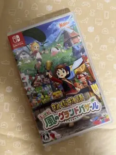 牧場物語 風のグランドバザール