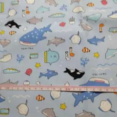 オックス生地　うみのいきもの