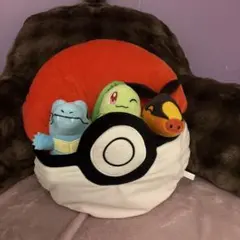 一番くじ　2025 Pokemon Collection　a賞