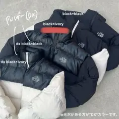 Kaoyorinakami panel blouson パネルブルゾン　ダウン