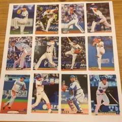 プロ野球チップスカード　横浜DeNAベイスターズ　１2枚