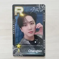 Stray Kids チャンビン ssjypリアルカード　エコパ