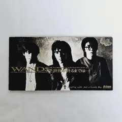 WANDS/世界が終るまでは…　8センチCD