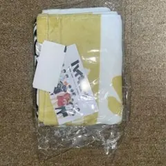 Item thumbnail for item 2f4a1153-7e6c-4515-bdfe-c5168c46676a