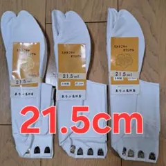 Item thumbnail for item 5ec5e3e2-0548-4ae1-851d-1218f851acc6