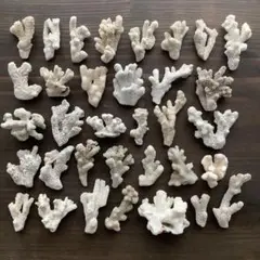 創作デスロック　サンゴ マメデザイン マメロックマイクロ グレー ライブロックレプリカ