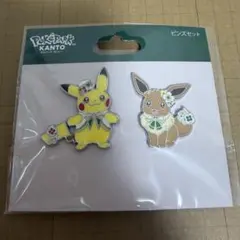 ポケパーク カントー 限定 カーニバル衣装 キーホルダー ピカチュウ