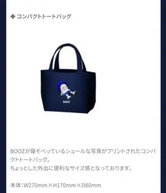 福井ブローウィンズ BOOZ コンパクトトートバッグ