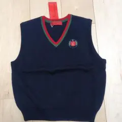 Roberta di Camerino ネイビー Vネックベスト