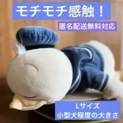 ドナルド モチハグ にぎにぎクッション 「ディズニー」 Lサイズ 約65cmのサムネイル