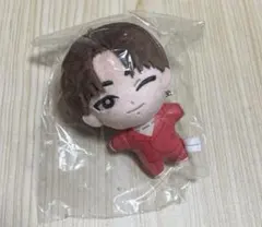 ディノ DINO ぬい ぬいぐるみ PetiTEEN SEVENTEEN セブチ