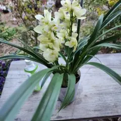 itk.様 リクエスト 2点 まとめ商品