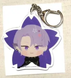 刀剣乱舞 とうらぶ わんぱく アクリルフレークパーツ 五月雨江 10点セット 刀剣乱舞 とうらぶ わんぱく アクリルフレークパーツ 五月雨江