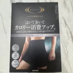 RIZAP GUNZE ボクサーブリーフ シームレス L