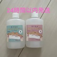 まさるのスクイーズレジン A液 B液 セット 100ml