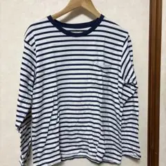 フルーツオブザルーム　ボーダー