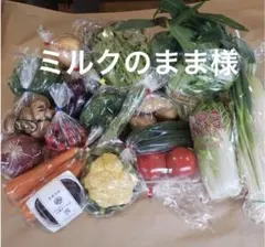 ミルクのまま様 野菜セット