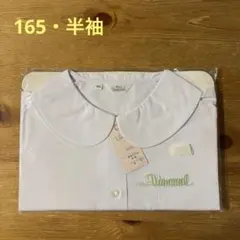 Item thumbnail for item 3139938b-47e2-4f74-9d30-7402e1fca925