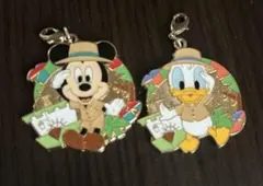 ミッキー・ドナルド チャーム