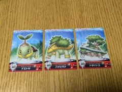 【希少　激レア】ポケモンずかんカード　ナエトル・ハヤシガメ・ドダイトス