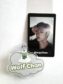 straykids Skzooランダムネームバッジ フォトカード typeB