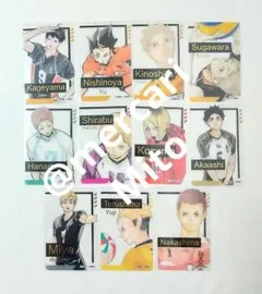 ハイキュー!! ファンパーク 箔押し クリアカード 影山 孤爪 赤葦 宮侑 他