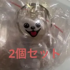犬の毛ケース ガチャガチャ　2個セット