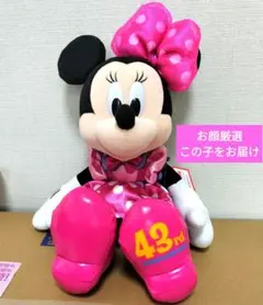 ミニー　ぬいぐるみ　トゥーンタウン 東京ディズニーランド43周年 トゥーンちゃん
