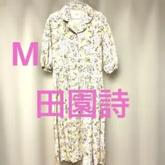 Item thumbnail for item 38b6d7e9-2195-452d-8d50-cf1a53fa8711