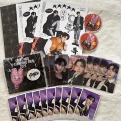 Stray Kids スキズ チャンビン まとめ売り