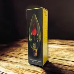 旭光電機 flicker flame フリッカーランプ 100V1-2W