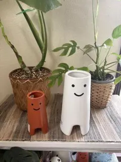 IKEA FEJKA 人工観葉植物 ベンジャミン フレーケンヴェクスト 鉢カバー