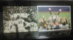 阪神タイガース日本一　胴上げパネルセットのサムネイル
