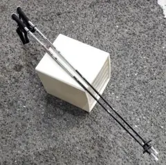 Item thumbnail for item 541416e0-00db-4919-99e7-369a8d4f6c07