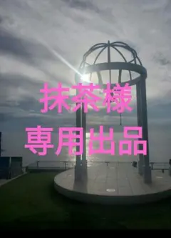 抹茶様　専用出品