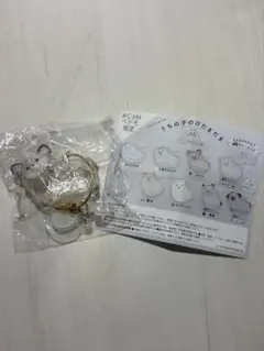 うちの子けだまだま　チワワ