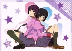 偽物語 クリアファイル 戦場ヶ原ひたぎ 翼 A4イラスト 化物語 終物語 猫物語