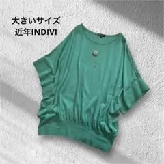 大きいサイズ！INDIVI / コットンレーヨン/サラッとニット15 洗える