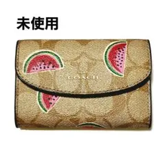 COACH スイカ柄 ケース ほぼ新品 箱付き 2025年最新】コーチ すいかの人気アイテム - メルカリ
