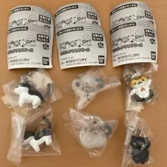 Item thumbnail for item 58029407-6225-472d-a267-4dff7321df33