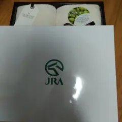 Item thumbnail for item 39b450e8-c3e1-4887-bb9a-1eb6c1961523