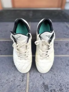 Item thumbnail for item 518b427a-7cbb-4868-b265-11019055b12d