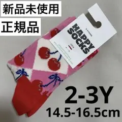 HAPPY SOCKS 新品未使用　正規品 P002542 2-3