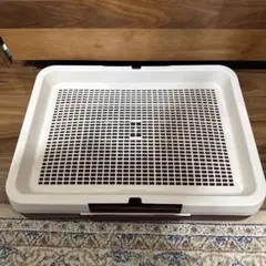 Item thumbnail for item d35695fc-a789-4d86-a9b8-fff7af063804