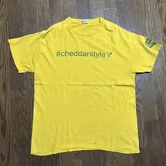 ギルダン　Tシャツ　古着　ネバザ似