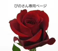 【ぴのさん様】専用ページ