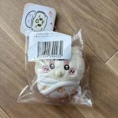 치카와 베이비 E상 시사